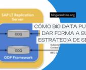 Cómo Big Data puede dar forma a su estrategia de SEO