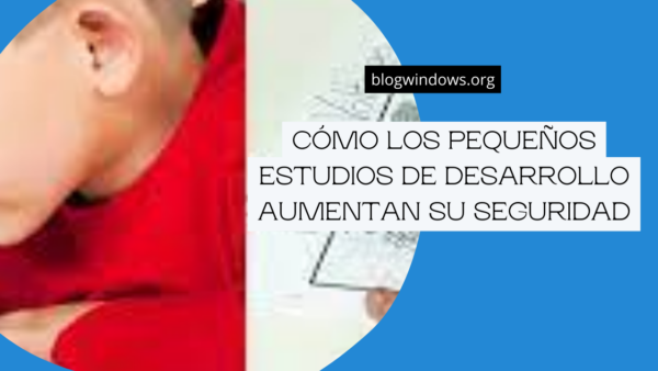 Cómo los pequeños estudios de desarrollo aumentan su seguridad